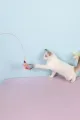 😻90 CM KEDİ OYUN OLTASI - dibidip 
