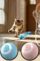 🐱HAREKETLİ KEDİ OYUN TOPU - dibidip 