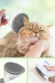 İBİCO CLEAN İ21-068 KEDİ - KÖPEK TARAK & TEMİZLİK FIRÇASI