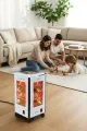 Kiwi Quartz Isıtıcı 5 Yönlü Isıtma & Enerji Tasarruflu Kuvars Tüp & Taşınabilir Tasarım
