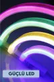 🌈NEON LED GECE LAMBASI - dibidip 