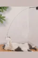 😺VANTUZLU KEDİ OYUN OLTASI - dibidip 