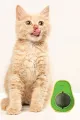 🐱🌿 YENİLEBİLİR AVOKADO KEDİ NANESİ - dibidip 
