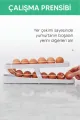 🥚2 KATLI YUMURTA ORGANİZER - dibidip 